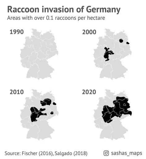 Map of Germany showing raccoon invasions (0.1 raccoon per hectare) as share of affected territory. Approximately 0% in 1990, 5% in 2000, 15% in 2010 and 35% in 2020. Source: sashas_maps on Instagram.